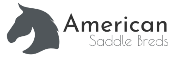 American Saddle Breds